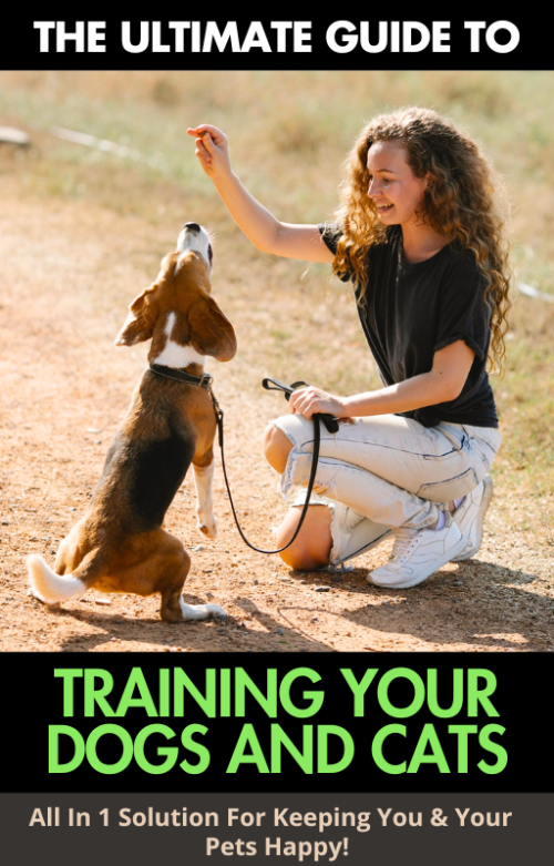 
**The best GUIDE on how to train your pets**

**The best GUIDE on how to train your pets**